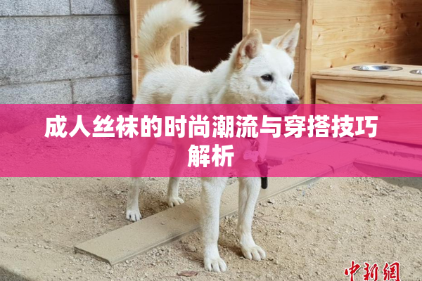 成人丝袜的时尚潮流与穿搭技巧解析