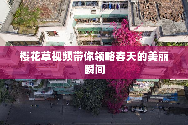 樱花草视频带你领略春天的美丽瞬间