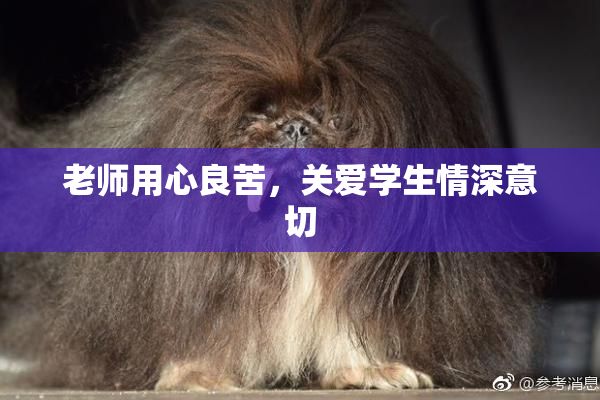 老师用心良苦，关爱学生情深意切