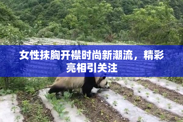 女性抹胸开襟时尚新潮流，精彩亮相引关注