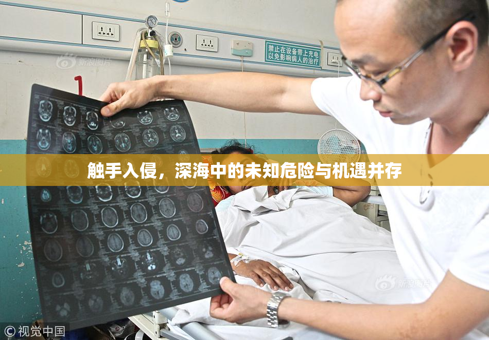 触手入侵，深海中的未知危险与机遇并存
