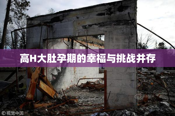 高H大肚孕期的幸福与挑战并存