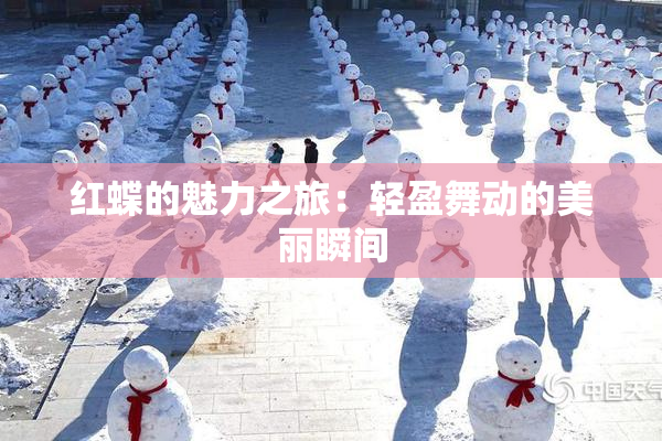 红蝶的魅力之旅：轻盈舞动的美丽瞬间