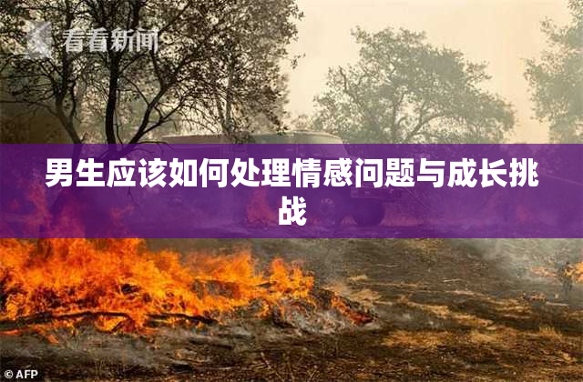 男生应该如何处理情感问题与成长挑战