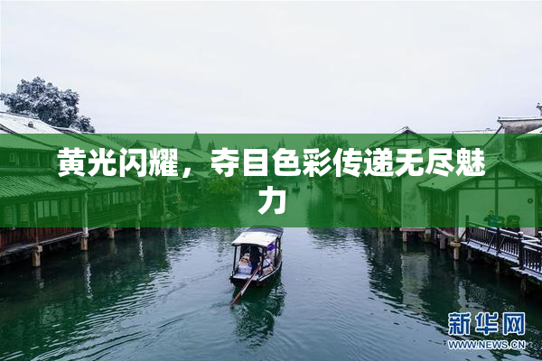 黄光闪耀，夺目色彩传递无尽魅力