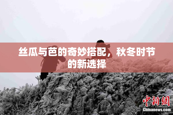 丝瓜与芭的奇妙搭配，秋冬时节的新选择