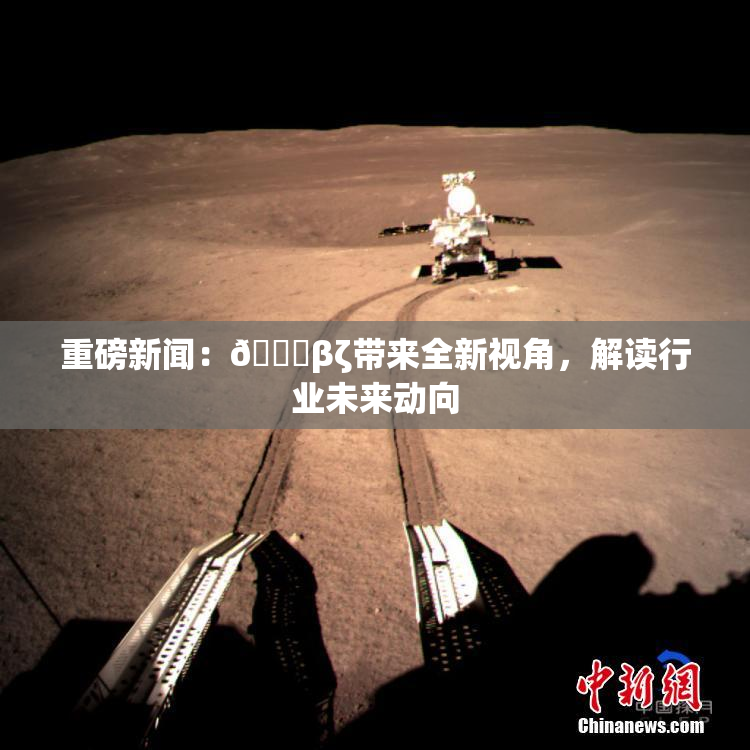 重磅新闻：👙βζ带来全新视角，解读行业未来动向