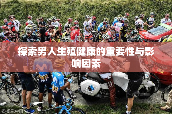 探索男人生殖健康的重要性与影响因素