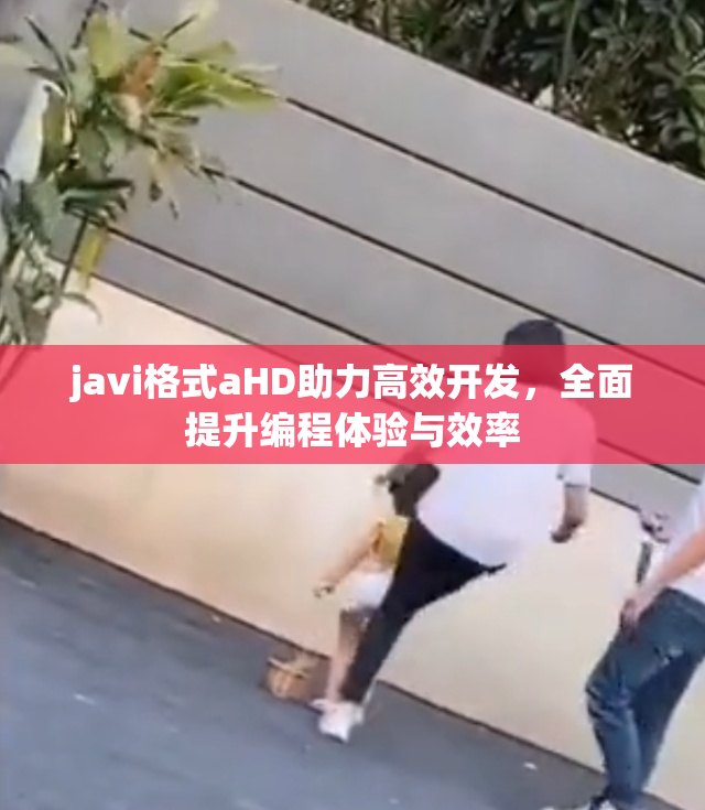 javi格式aHD助力高效开发，全面提升编程体验与效率