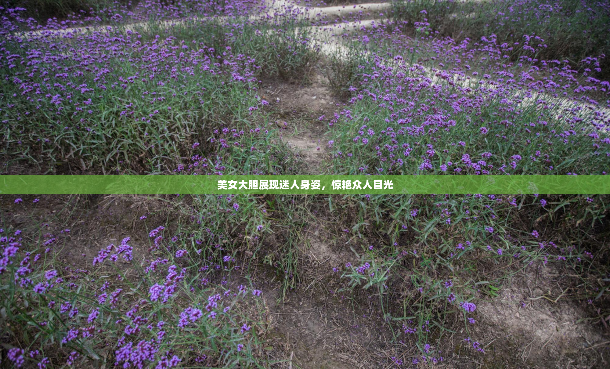 美女大胆展现迷人身姿，惊艳众人目光