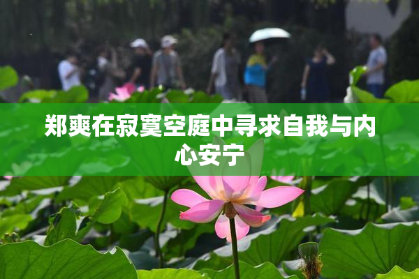 郑爽在寂寞空庭中寻求自我与内心安宁