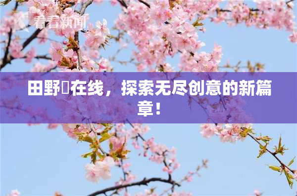 田野憂在线，探索无尽创意的新篇章！