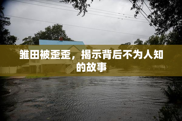雏田被歪歪，揭示背后不为人知的故事