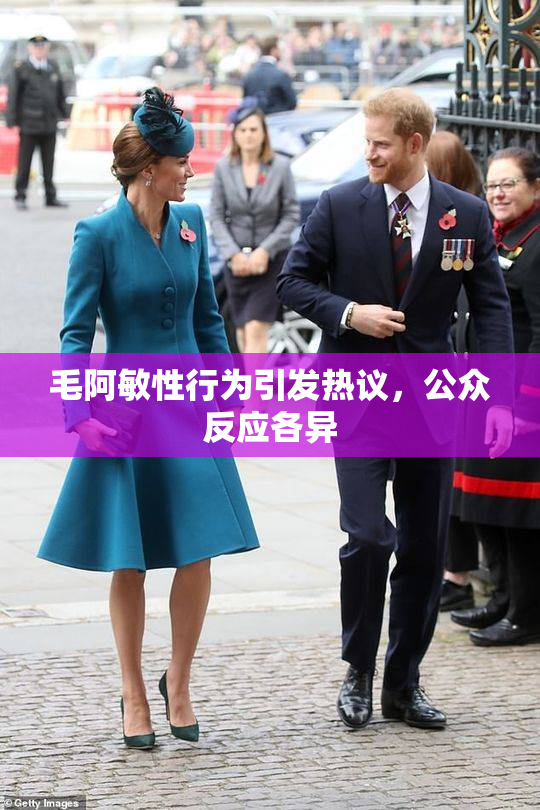 毛阿敏性行为引发热议，公众反应各异