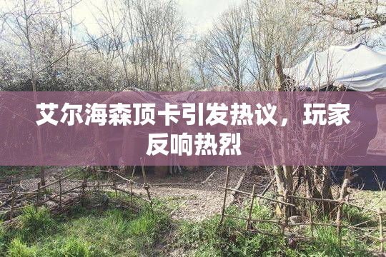 艾尔海森顶卡引发热议，玩家反响热烈