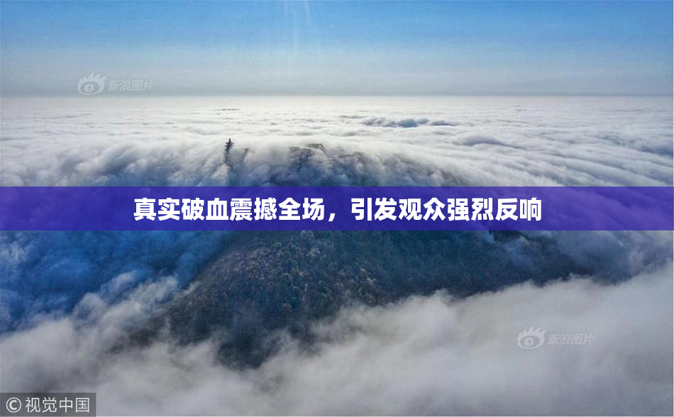 真实破血震撼全场，引发观众强烈反响
