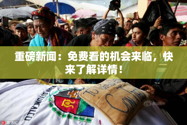 重磅新闻：免费看的机会来临，快来了解详情！