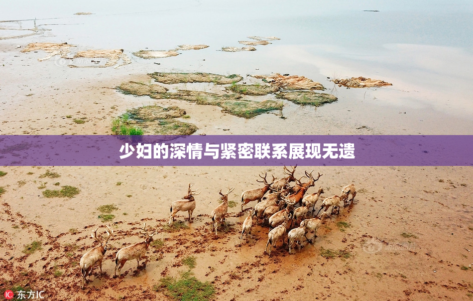 少妇的深情与紧密联系展现无遗