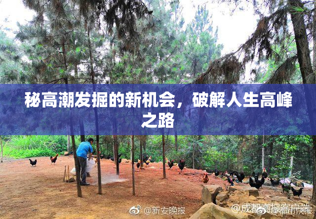 秘高潮发掘的新机会，破解人生高峰之路