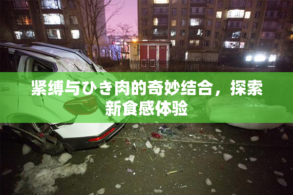 紧缚与ひき肉的奇妙结合，探索新食感体验