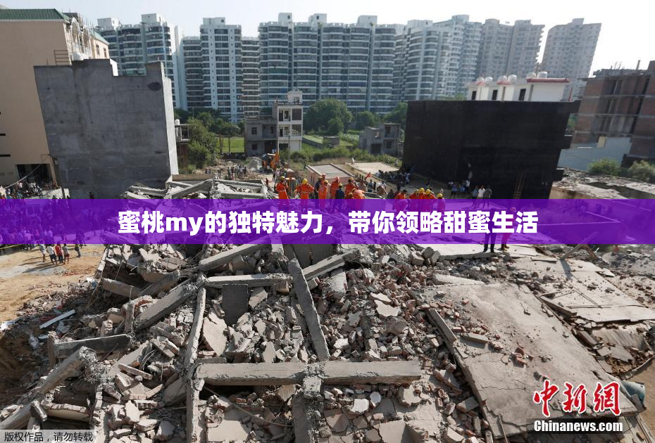 蜜桃my的独特魅力，带你领略甜蜜生活