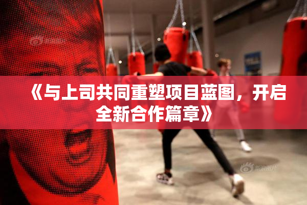 《与上司共同重塑项目蓝图，开启全新合作篇章》