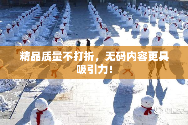 精品质量不打折，无码内容更具吸引力！