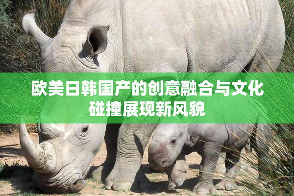 欧美日韩国产的创意融合与文化碰撞展现新风貌
