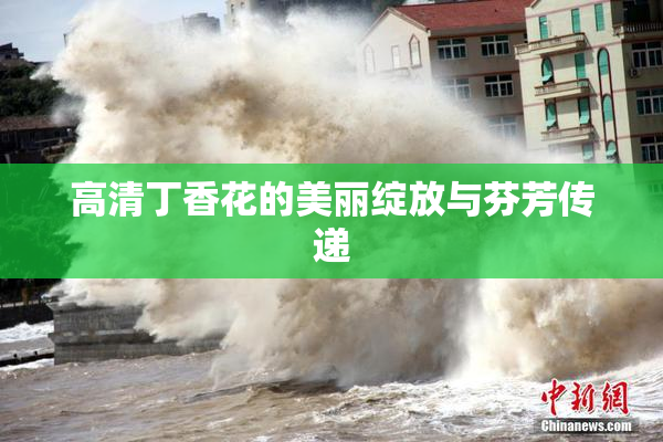 高清丁香花的美丽绽放与芬芳传递