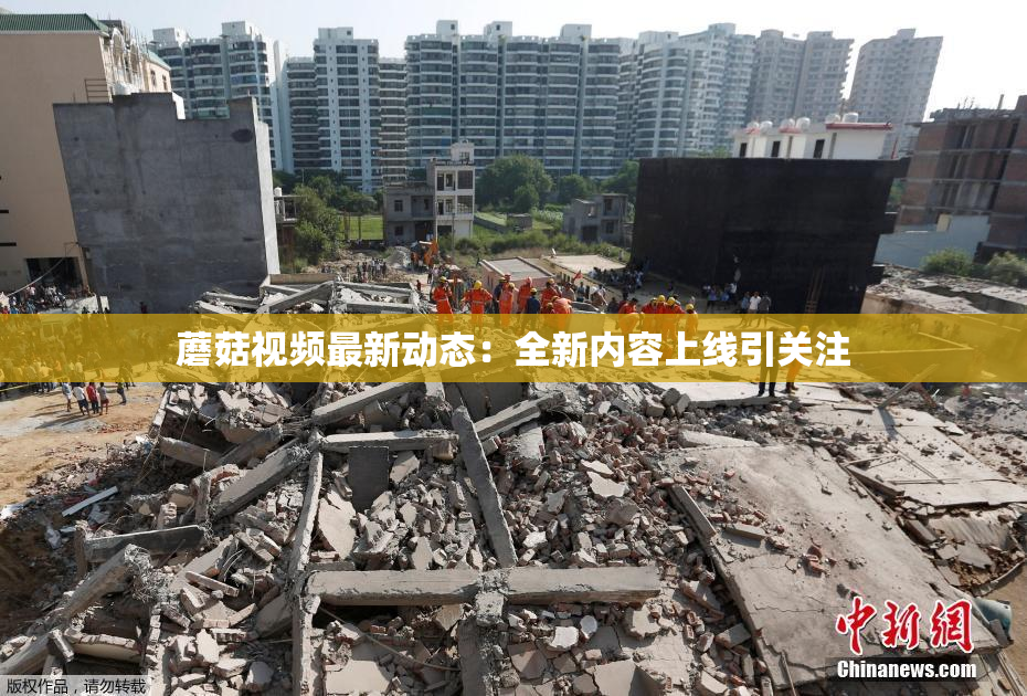 蘑菇视频最新动态：全新内容上线引关注