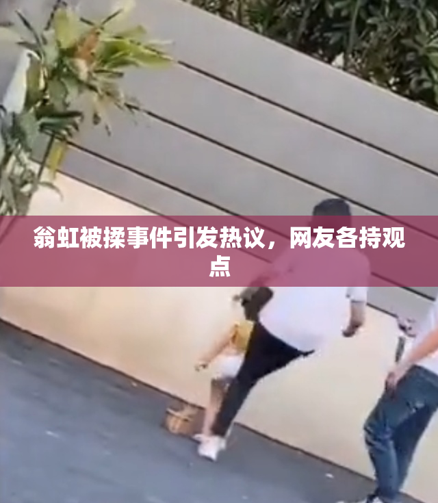 翁虹被揉事件引发热议，网友各持观点