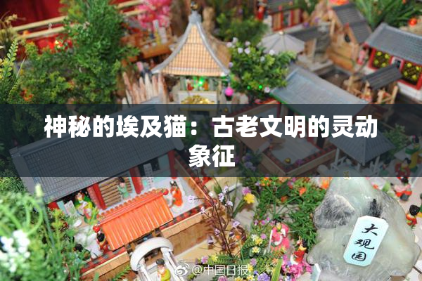 神秘的埃及猫：古老文明的灵动象征