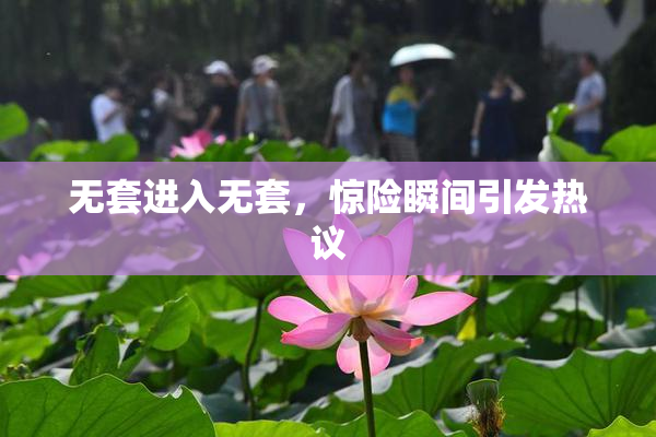 无套进入无套，惊险瞬间引发热议