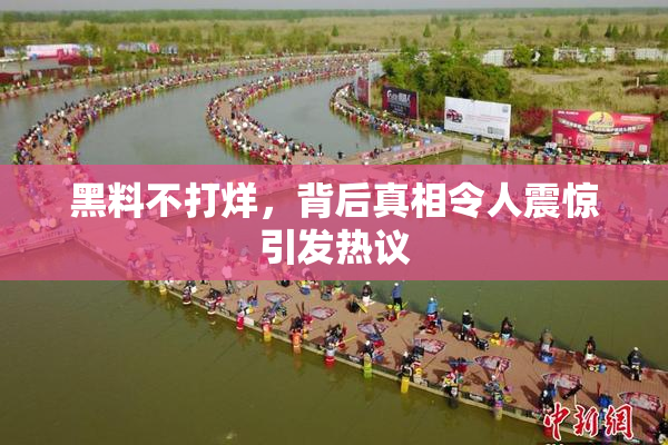 黑料不打烊，背后真相令人震惊引发热议