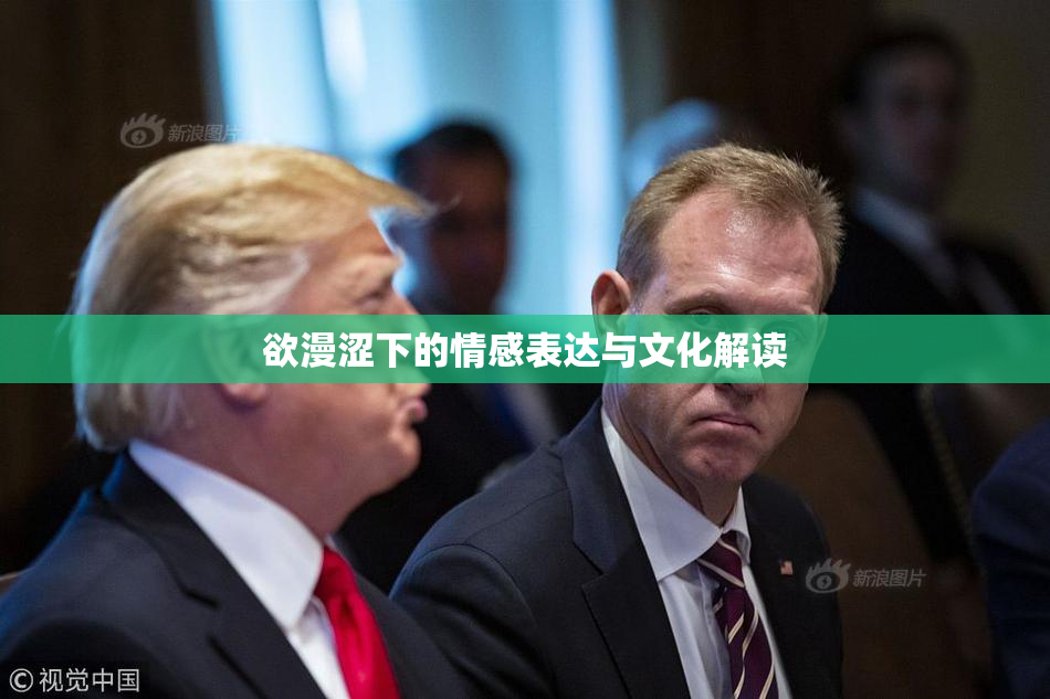 欲漫涩下的情感表达与文化解读
