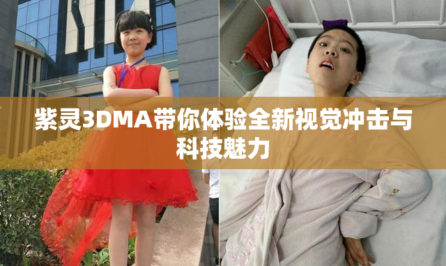 紫灵3DMA带你体验全新视觉冲击与科技魅力