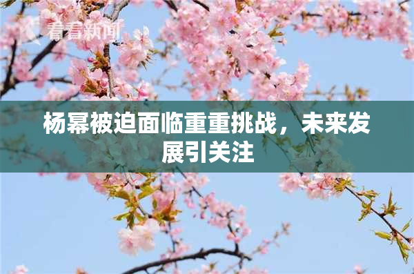 杨幂被迫面临重重挑战，未来发展引关注