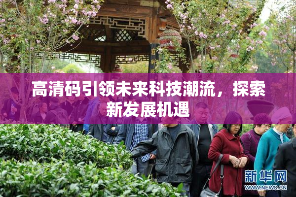 高清码引领未来科技潮流，探索新发展机遇
