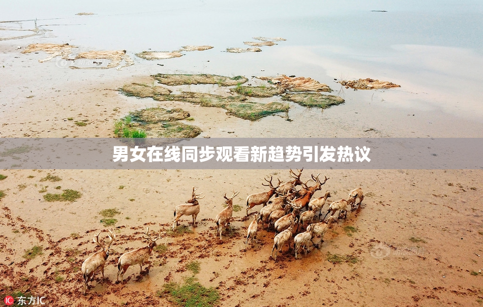 男女在线同步观看新趋势引发热议