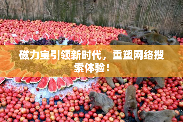 磁力宝引领新时代，重塑网络搜索体验！