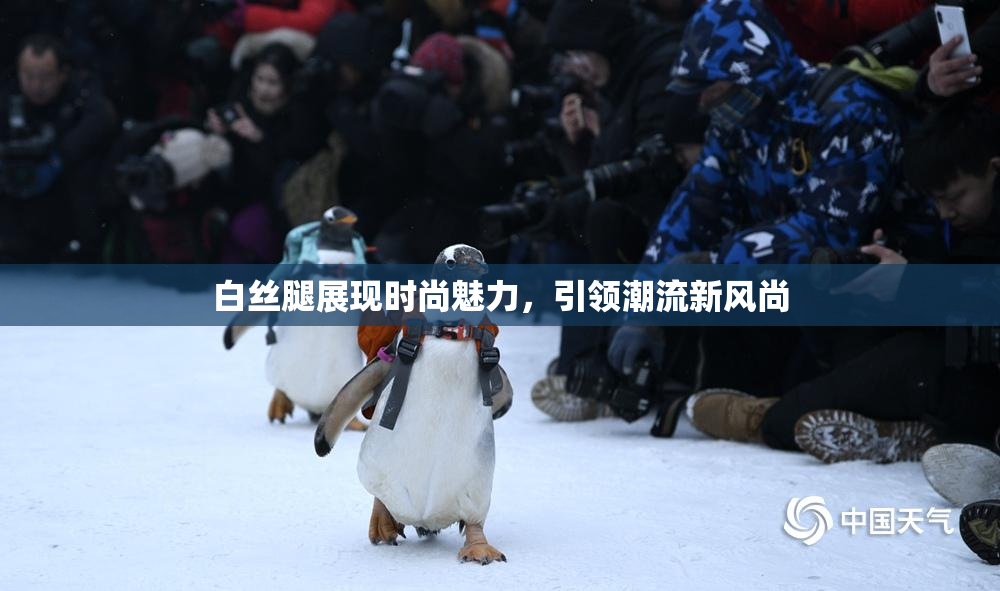 白丝腿展现时尚魅力，引领潮流新风尚