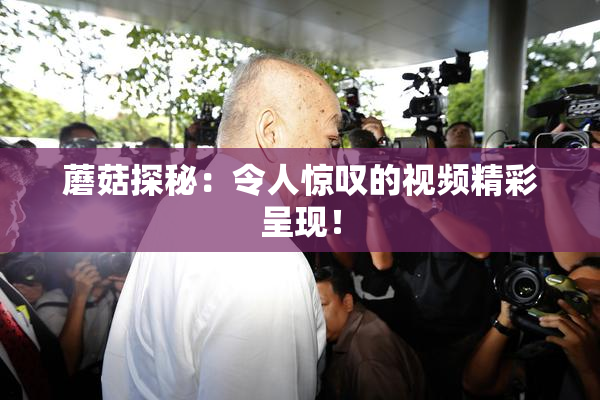 蘑菇探秘：令人惊叹的视频精彩呈现！