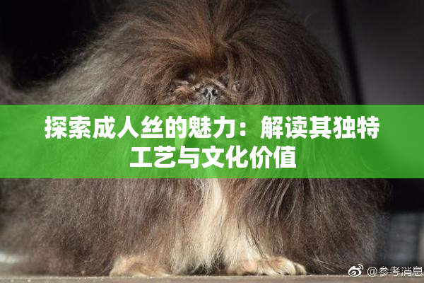 探索成人丝的魅力：解读其独特工艺与文化价值