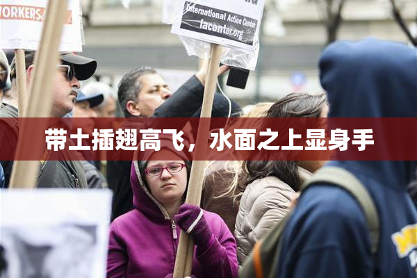 带土插翅高飞，水面之上显身手