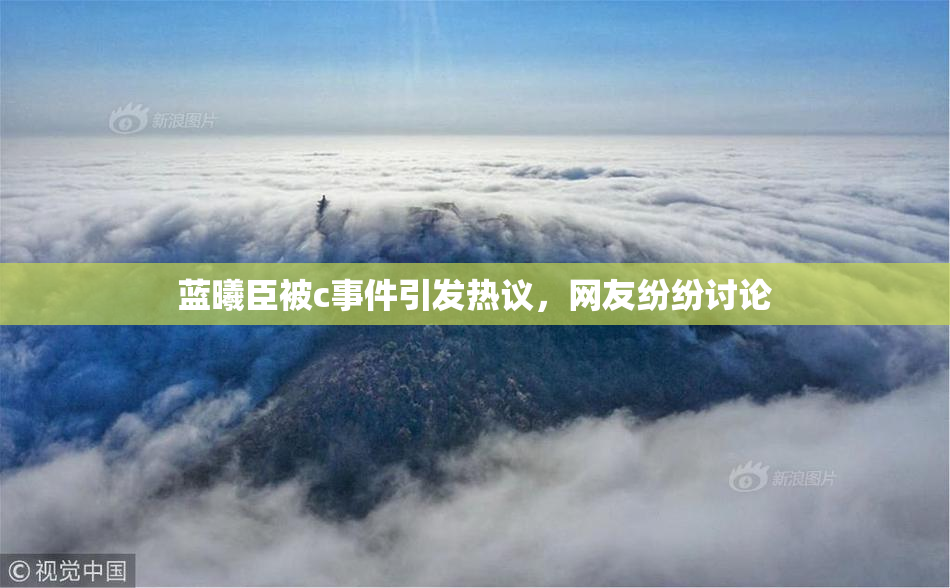 蓝曦臣被c事件引发热议，网友纷纷讨论
