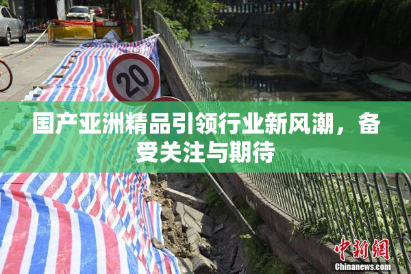 国产亚洲精品引领行业新风潮，备受关注与期待