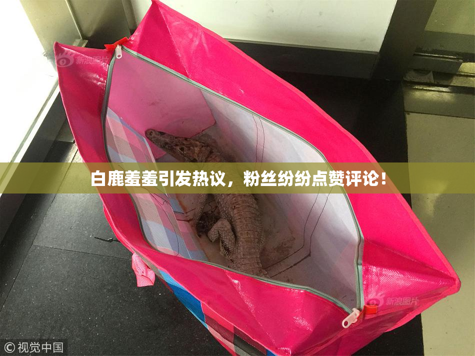 白鹿羞羞引发热议，粉丝纷纷点赞评论！