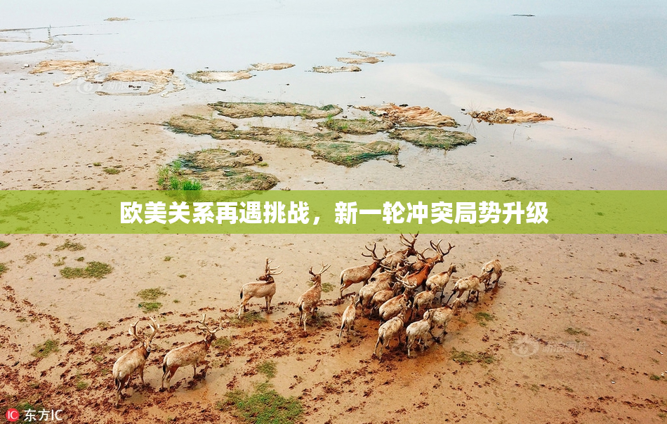 欧美关系再遇挑战，新一轮冲突局势升级