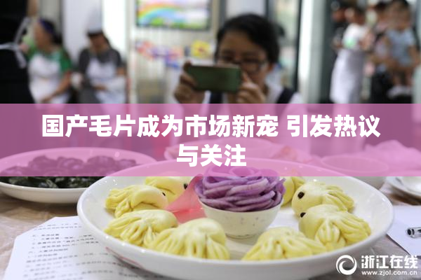 国产毛片成为市场新宠 引发热议与关注
