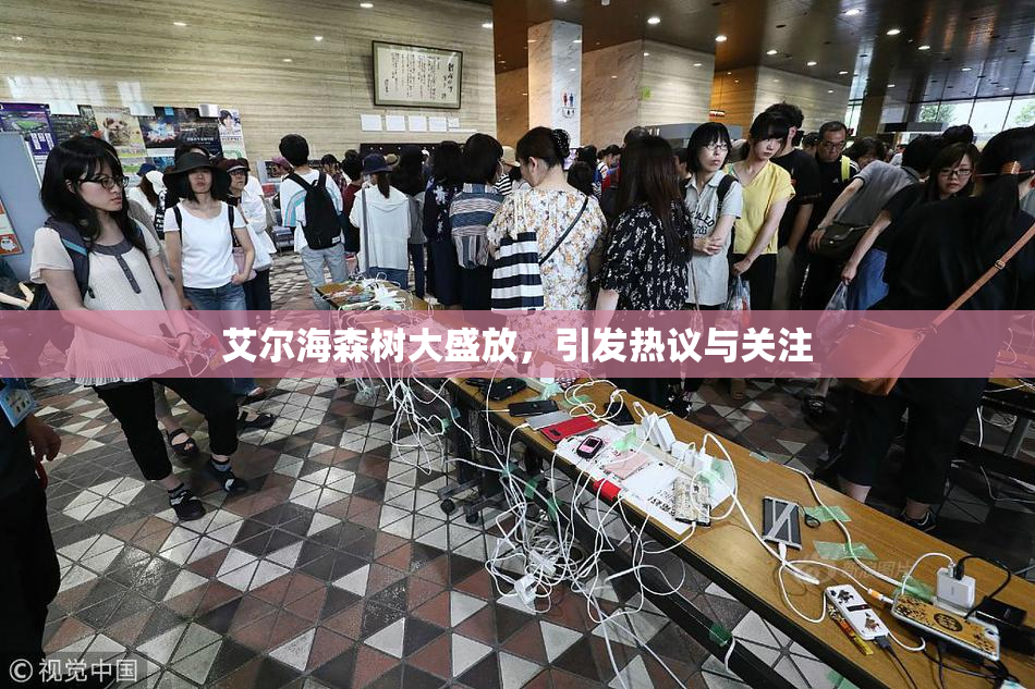 艾尔海森树大盛放，引发热议与关注